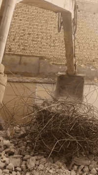 يا الله اللهم صل على محمد وال محمد شغل درجه اولى حسب الطلب مكان الناصريه مركز تفليش قلع عدل سبيس حدد المطاطيه كافه المسؤوليه ***********
