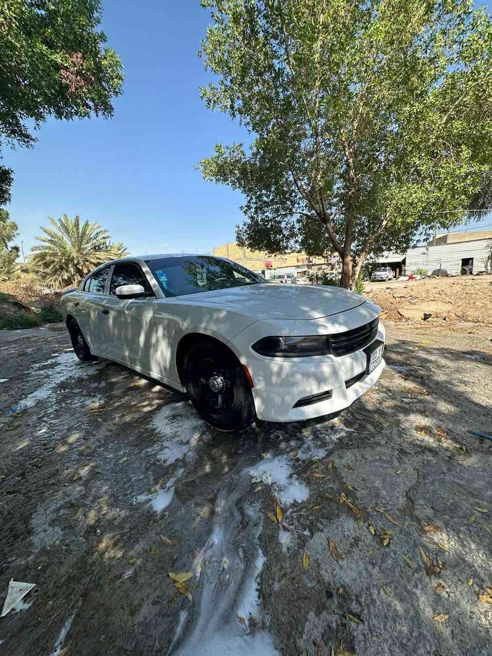 مراوس ترهم حسب قناعه سلام عليكم البيع دوج جاجر موديل 2020 مريكي بغداد بسمي تبديل جاملغ وبنيد بدون عابر سياره جديده حيل وجاهزه  بكرتون حداديه مكينه كير اكسن كفاله  مكينه 3600 سعر 230 وبيه مجال شراي مكان سياره سماوه رميثه ستفسار وتصال ***********
