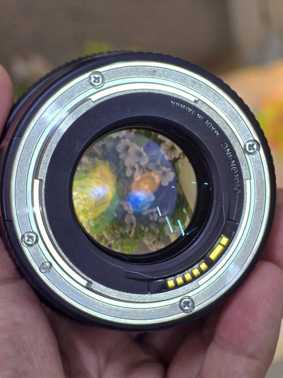 عدسة كانون 85mm  //  f1.8
نظافة 98% 

247 الف مع التوصيل لكل العراق ، مكاني نجف


**إذا كنت صاحب هذا الإعلان وتريد حذفه لأي سبب، رجاءا أرسل رسالة إلى الدعم الفني**