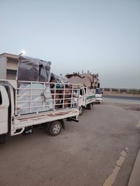 نقل أثاث • داخل وخارج بغداد • كيا بنجو