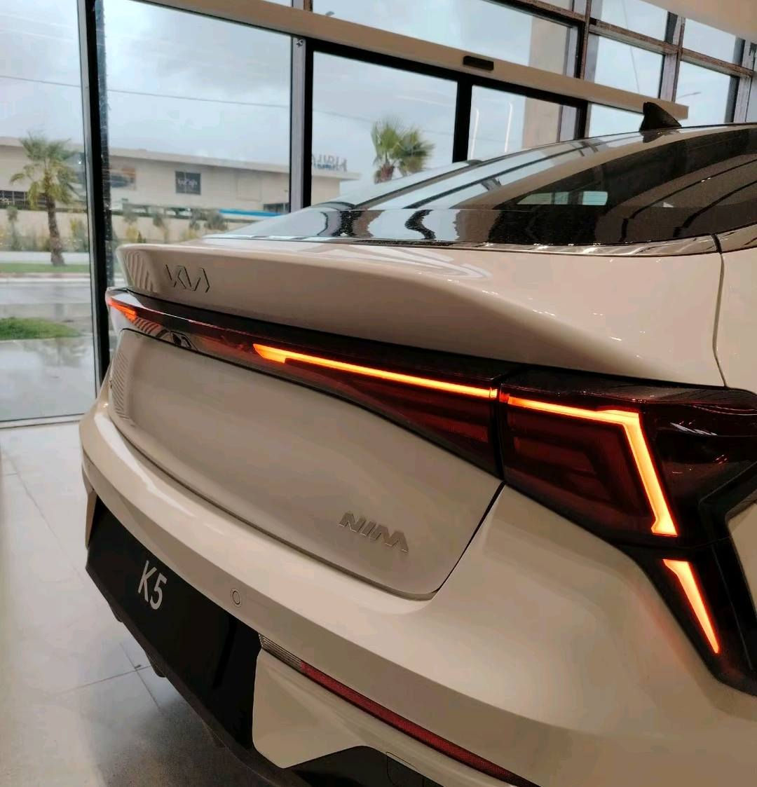 للبيع. ماشيه. عشر تالف عله وضع الشركه.  رقم اربيل ***********
