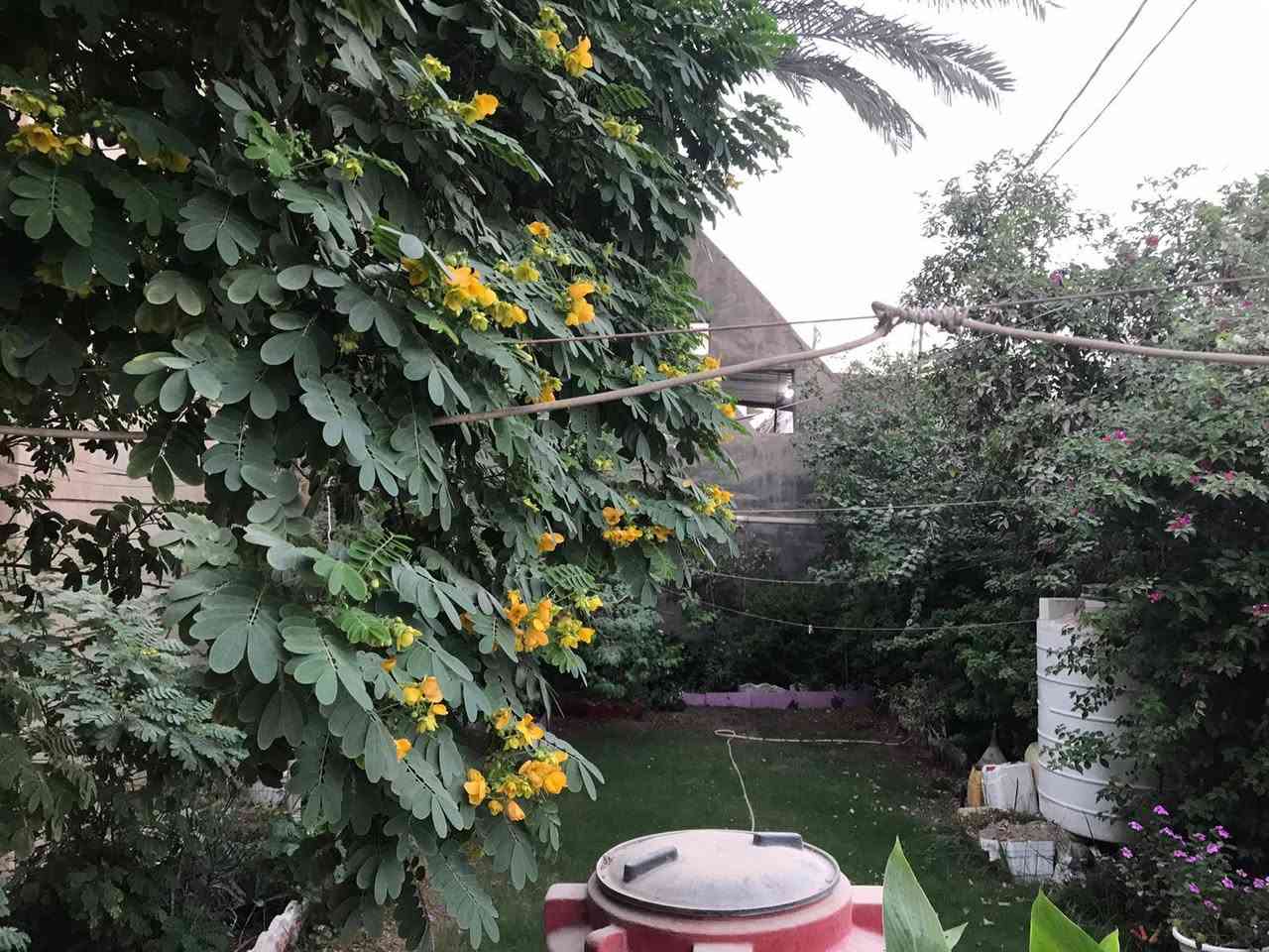 💥 اذا كنت تبحث عن سكن مميز او للأستثمار في الحله فهذا دار للبيع في حي الضباط مقابل سنتر الأسعار .
💥 الطابو صرف ، و مساحة العقار ٣٦٠م ، عرض الشارع ١٥م ، الواجهة حوالي ١٦.٢٥م ، النزال حوالي ٢٢.٢٠م .
💥 موقع مثالي ، مكن ان تبني مكانه سكن أو عقار تجاري .
☎️ من يرغب بالتواصل مباشرة مع المالك كاظم الحلي ، عن طريق الواتسآب :
 ***********
