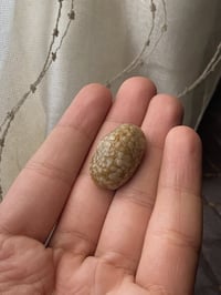 حجر قديم • نقوش ربانية • نادر