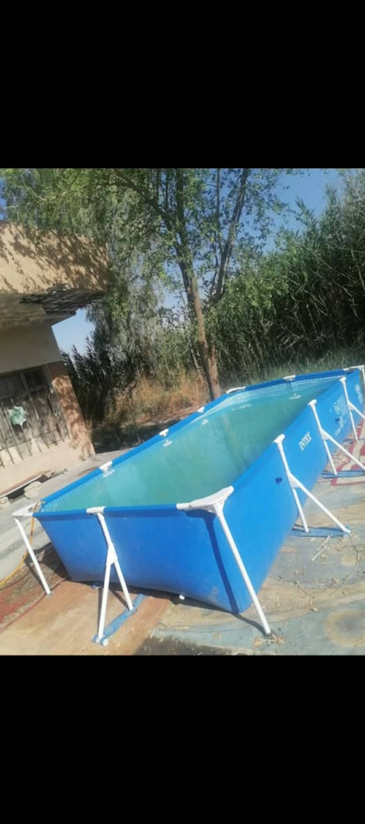 مسبح البيع  السعر خمسين الف راسني وتساب


**إذا كنت صاحب هذا الإعلان وتريد حذفه لأي سبب، رجاءا أرسل رسالة إلى الدعم الفني**