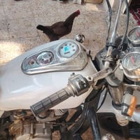 ستوته • موديل ٢٠١١ • قضاء النصر