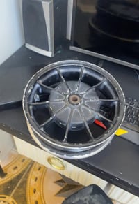 ويل سكنس رياضي اصلي ينشد فحل ونثيه وولد اصلي مال حاويه سعره 150 بي مجا...