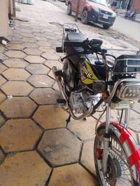 تايكر 24 • مكفولة • ورقة كرتونية