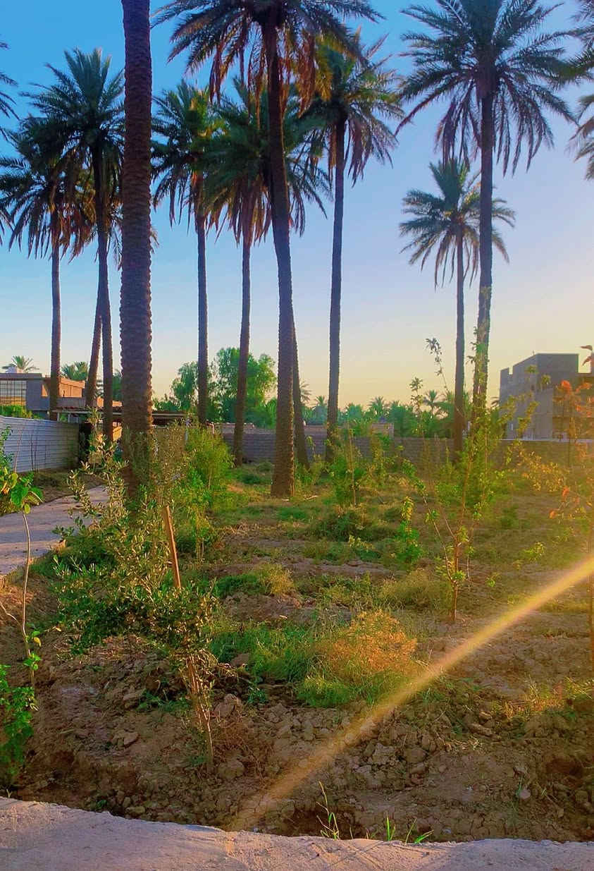 السلام عليكم مزرعه مساحة دونم الواجهة ٣١متر والنزال ٨٢متر تحتوي على بيت وحديقه وبستان كراج يأخذ ٤سيارات نخل وتين ورمان وتفاح بيه بير ارتوازي وماء اساله كهرباء وطنيه ومولده اناره كامله مؤثثه بالكامل اثاث درجه أولى سبالت موقعها بغداد الدوره هور رجب مسيجه بالكامل  طابو ٢٥ زراعي السعر ٣٥٠ مليون وبيه مجال رقم الهاتف ***********
