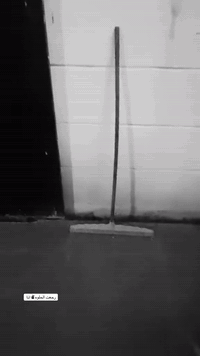 سلام عليكم دراجه للبيع نامه شلامجه موديل16
مانقصه شي مفتوحه  سعر 300و بي مجال او مراوس
حسب القناعه مكان تكريت رقم ***********
