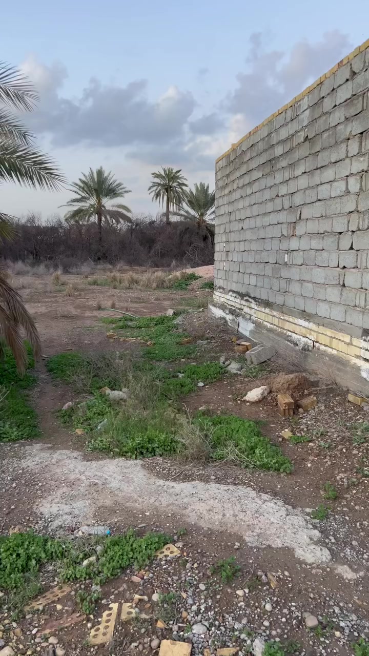 ‏الرقم والاستفسار ***********￼
