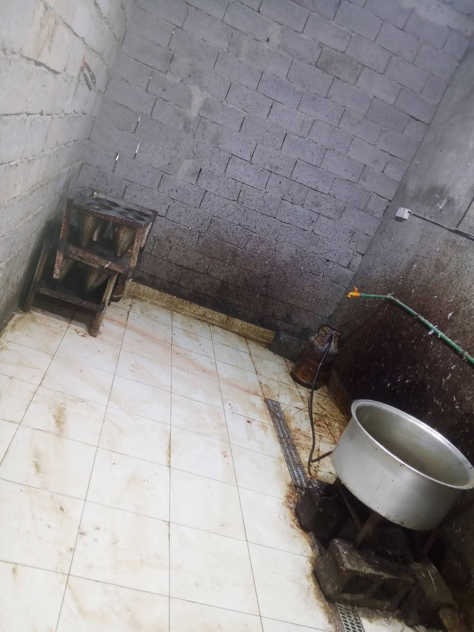 السلام عليكم مجزره للبيع الموقع ناحية الرشيد مجاور محطه الوقود المجزره جاهزة من كل شي ومدفوع ايجار 4اشهر القادمه الأغراض كامله والمجزره خير من الله سبب للبيع عدم التفرغ
***********
