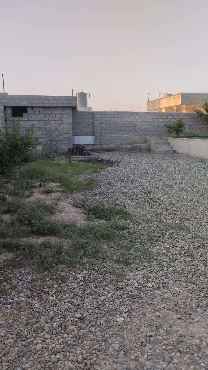 السلام عليكم ورحمةالله تعالى وبركاته بسم الله والصلاة والسلام على رسول الله داري للبيع مساحة الحوش ثلث دونم يتكون البيت من ربعه سبعه في اربعه وغرفتين وحده خمسه في اربعه والاخرى اربعه في اربعه وهول اربعه في اربعه ومجمع الغرف والحمام والدرج مترين ونص في اربعه للأستفسار وللمعلومات اكثر التواصل معي على هذا الرقم ***********
