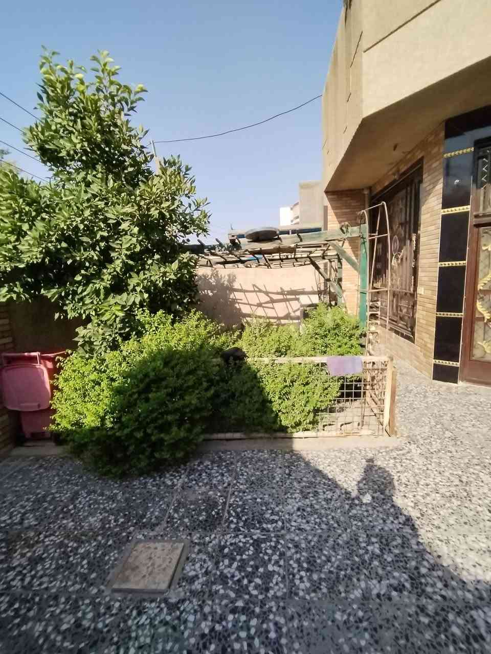 دار زراعي للبيع
العنوان سوق العماري شارع أبو نجاح مقابل بيت النائب صباح طلوبي
المساحة 250 متر
يحتوي الطابق الأرضي على:-
استقبال 7* 4
غرفة نوم 4* 5
غرفة نوم 4* 4
صالة 9* 5
مطبخ 6* 4
حمام واحد 
تواليت شرقي وغربي
ترك حولي
يحتوي الطابق الثاني على:-
غرفة نوم 5*4
غرفة نوم 4* 4
صالة نفس صالة الطابق الارضي
حمام واحد
تواليت شرقي
السعر خاص على الرقم ***********
