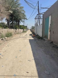 يوجد 50 متر البيع سند 25 زراعي الوجهه5 نزال 10 خدمات ماي كهرباء شارع س...