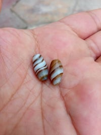 اسعار مناسبة • اكسسوارات شخصية