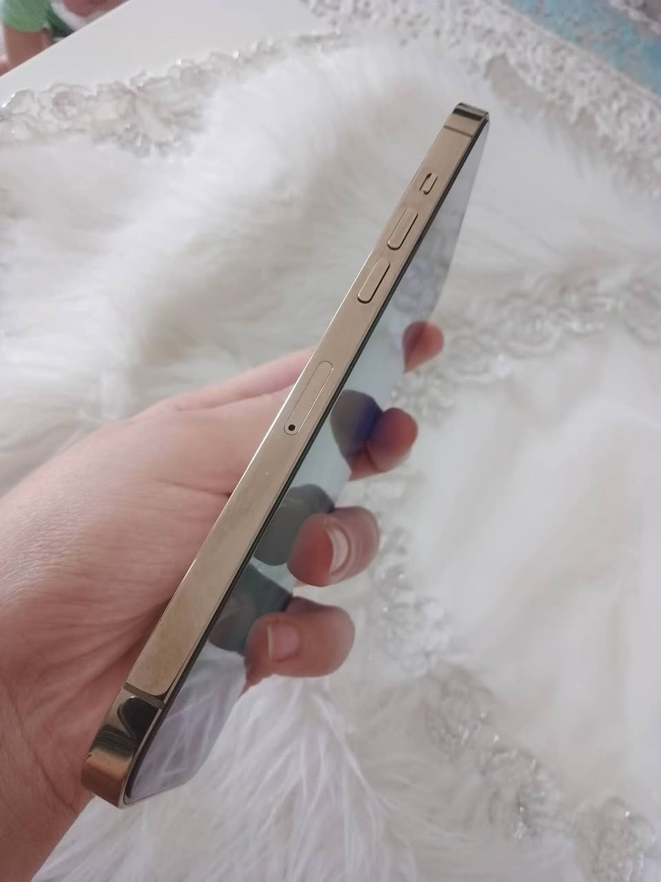 للبيع وللتبادل ايفون 12 برو ماكس أمريكي 
مساحه 256 جيجا 
بطاريه 86٪
مش مغير اى حاجة خالص مفيهوش ولا خدش
وتر بروف لون جولد 
حاله كويسه جدا 
ب 26000 القاهرة, مصر


**إذا كنت صاحب هذا الإعلان وتريد حذفه لأي سبب، رجاءا أرسل رسالة إلى الدعم الفني**