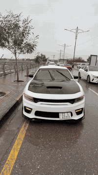 سلام عليكم
دوج جارجر RT موديل 2018 رقم بغداد باسمي
سياره مصروف عليها وجاهزا ترايك بصره
محرك كير حداديه كلها شرط 
موصفات RT معروفا فول عدا سلايت 
كشن كنتاره حضن كراسي خزن ميمورر ستيرن كهرب 
رادارات مري نقاط عميا دكمت سبورت وتراك باك 
سقف روز دركه كاربون حقيقي ليتات عدسه ولد متغير 
ولف ريسنك بلاكات ريسنك فيتبم ريسنك عليها برمجه مصطفئ ايكل وسياره مانزله استعراض ستخدام شخصي 
ضررها جاملغ أمامي جهت السايق وربع جاملخ خلفي بدون داخل 
السياره متواجده موصل وبلشركاط 
سعر 187 وبيها مجال لطيبين 
*********** رقم الهاتف
