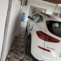 فول مواصفات • ٢٠٢٠ • ضمان الكاصد