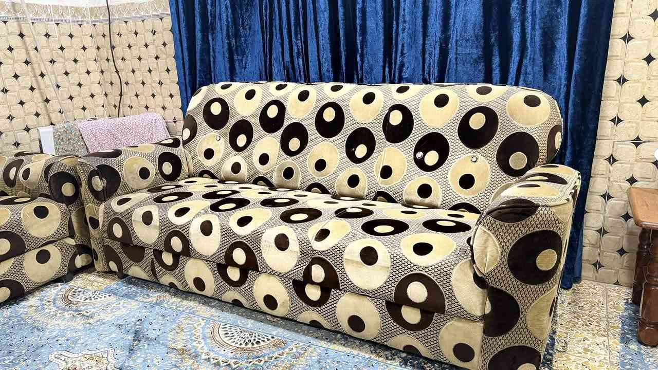 تخم قنفات للبيع السعر 250 وبيهة مجال ***********
