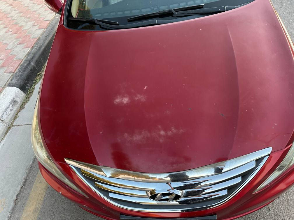 سوناتا 2014 امريكي 1/1 لمــتـد GDI
حادث بنيد و جاملغ الايمن 
فتحة سقف 
تحكم ستيرن 
رادارات جانبية 
كاميرا 
كشنات تدفئة تبريد 
قطعتين تبريد 
للبيع او المراوس حسب القناعة 
للاستفسار  *********** كربلاء, العراق
