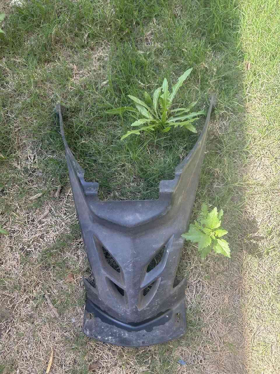 وياله سكنس فحل للبيع السعر20 قفل سبعه سكنس فحل السعر 10 قفل مكاني بغداد حي الجامعه


**إذا كنت صاحب هذا الإعلان وتريد حذفه لأي سبب، رجاءا أرسل رسالة إلى الدعم الفني**