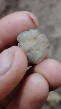 محبس • قديم • كربلاء حي الوفاء