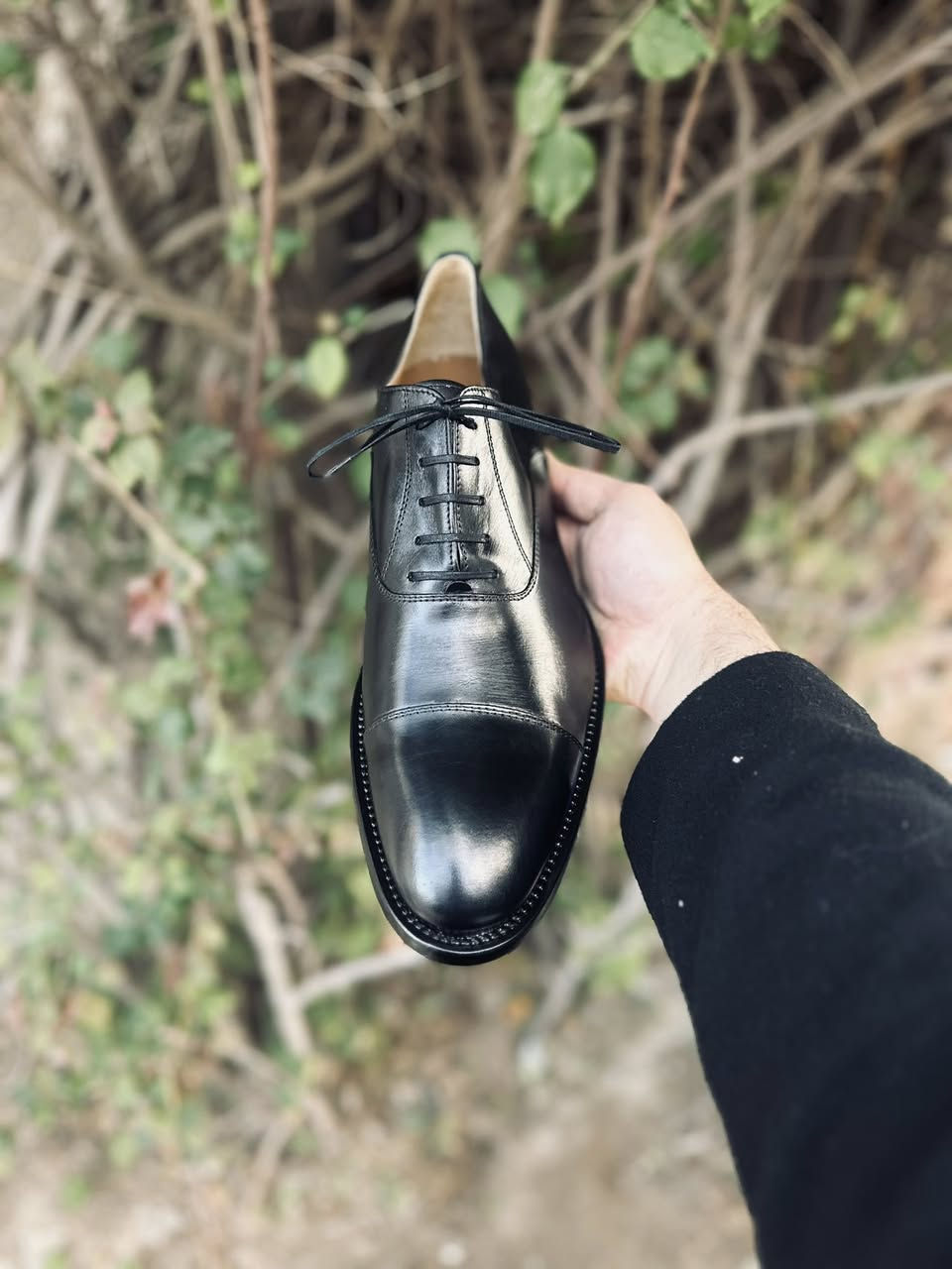 اكسفورد 46
***********
