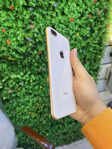 ايفون ايت بلاص 64بطاريه 100جهاز شرق اوسط مكفول من فتح وصيانه وبي ضمان من محل نضافته اذا مو100 مرجوع

السعر 125 الف قفل مكان المحل بغداد شارع حيفا قرب مقها بيروتي مقابل نادي الزوراء الرياضي اسم محل بربرو فون

*********** واتساب فقط
***********اتصال
