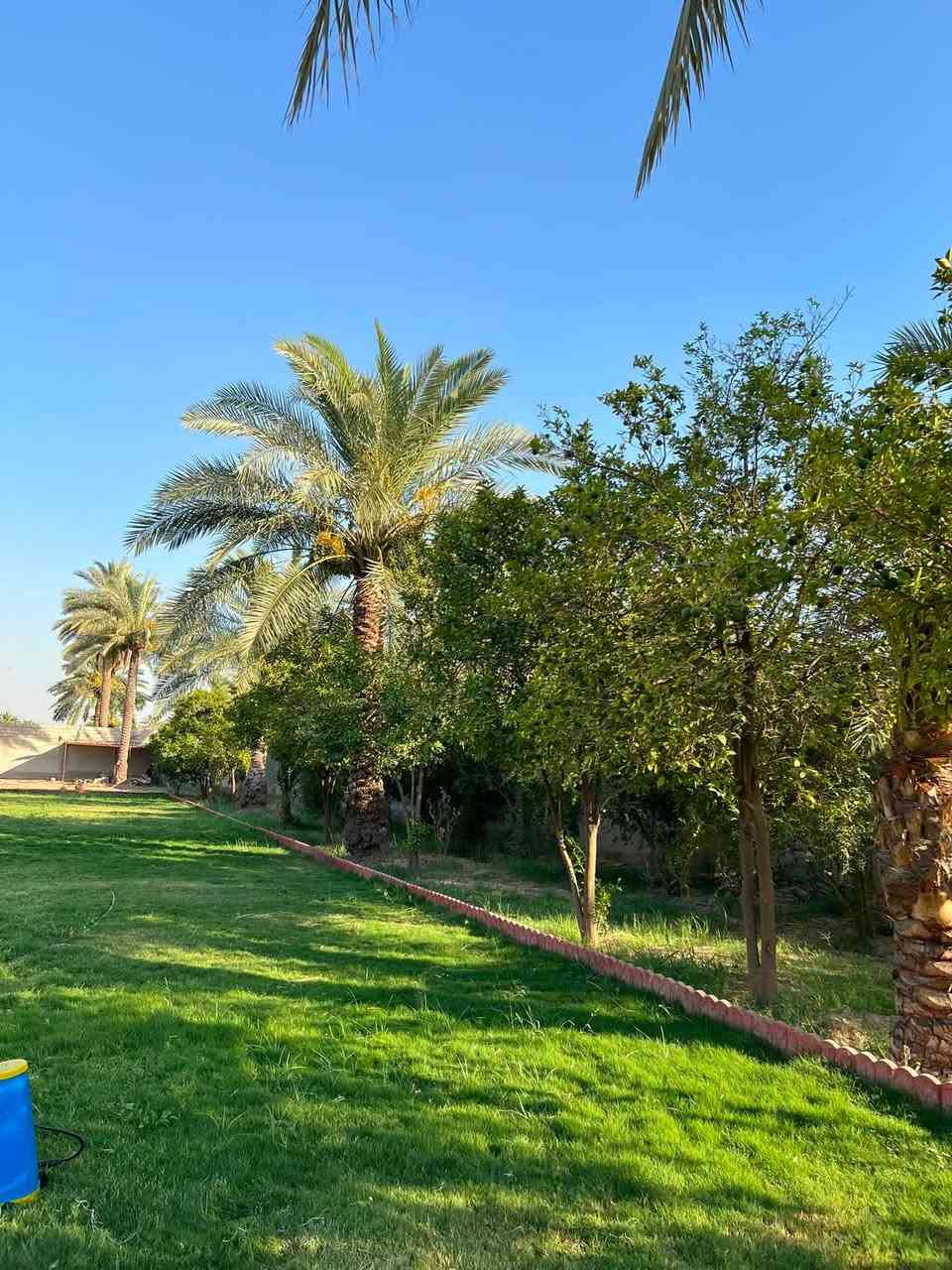 السلام عليكم 
للبيع نص دونم طابو سند 25 واجهة الأرض 25متر جميع الخدمات متوفرة ماء كهرباء تبليط الموقع بغداد المدائن منطقة الجعارة يبعد عن الشارع العام 100متر للاستفسار ***********
