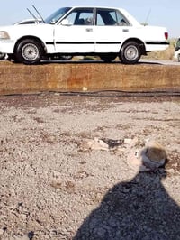 تويوتا هرتوب • ١٩٩٣ • صدعه بالمحرگ