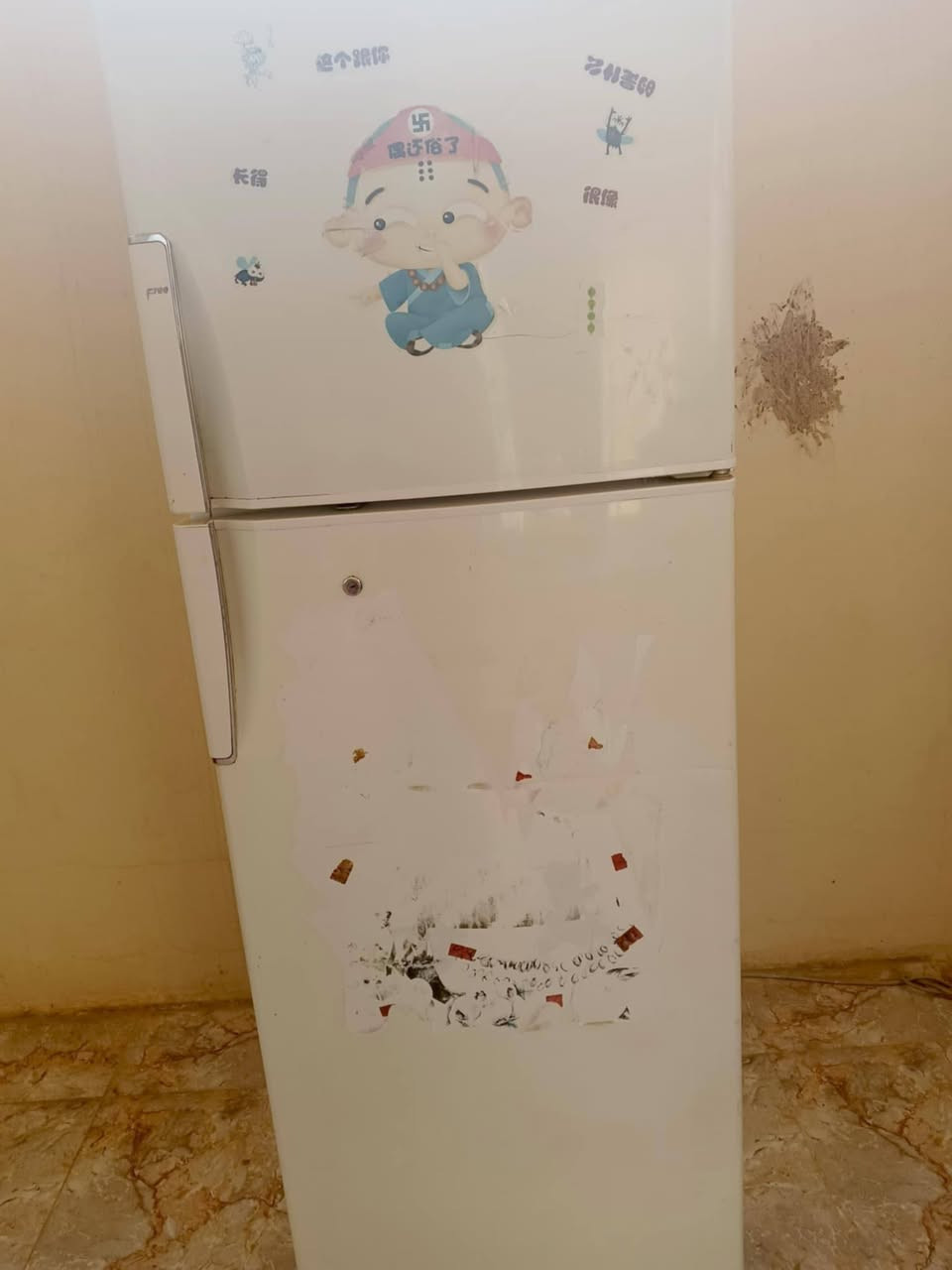 ثلاجه شغاله نضيفه سعرهه 100بيهه مجال


**إذا كنت صاحب هذا الإعلان وتريد حذفه لأي سبب، رجاءا أرسل رسالة إلى الدعم الفني**