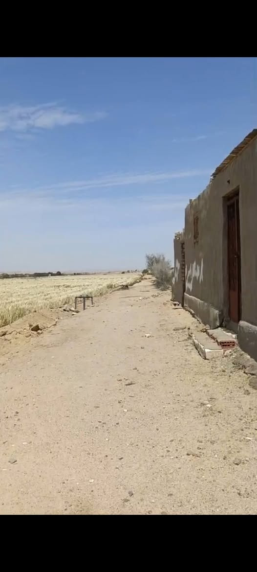 قطعه ارض 14فدان عقد البدائي بينها وبين الصحراوي الغربي 5 كيلو وبينها وبين القره 3كيلو ارض مزروعه بالكامل قمح ري نيلي غمر فيها استراحه و عنبر فراخ وبرج حمام سعر الفدان 130الف قابل للتفاوض لتواصل 01044446585


**إذا كنت صاحب هذا الإعلان وتريد حذفه لأي سبب، رجاءا أرسل رسالة إلى الدعم الفني**