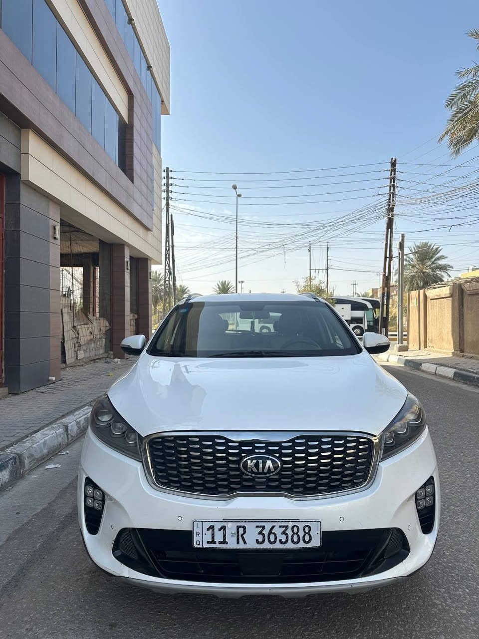 السلام عليكم 
سياره للبيع سورنتو
 موديل ١٩ السياره خليجيه 
 ٦ سكندر ٧ راكب 
شاشه جبيبره كامره
 حساسات مري شفط
 كفاله عامه من صبغ من تبديل من فتح كير مكينه
 كفاله ما مفتوحات
 تخم تاير جديد بالسياره
 السياره مال جناي 
 السياره رقم بغداد انكليزي 
تحويل ثاني يوم 
مكاني في كربلاء
 اني مكلف بالنشر
 السعر ٢٤٨
 وبيها مجال بيع سريع
 الاتصال ***********
