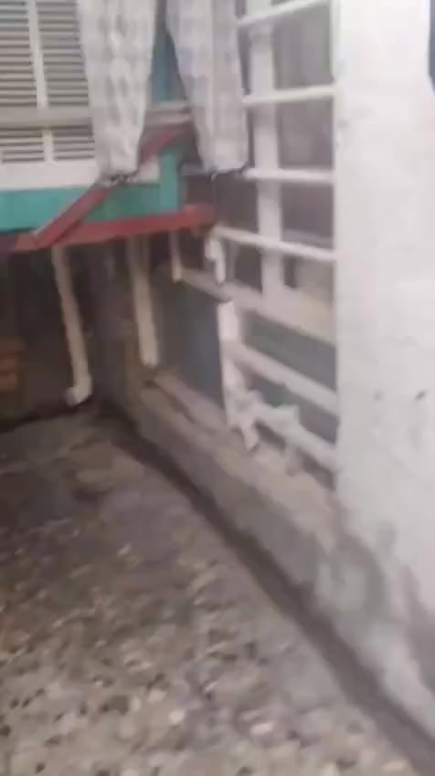 السلام عليكم لدي دار للبيع  دار زراعي الشعب شارع ابو ماهر ورقه صفره عقد زراعي مكاتبه السعر 65مليون وبيه مجال الجاد فقط يتصل على رقم ***********واتساب ورصيد
