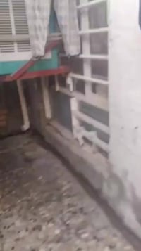 دار زراعي • الشعب شارع ابو ماهر • ورقه صفره