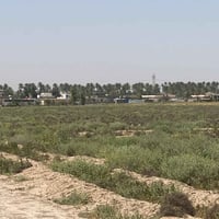 ( 10  دوانم طابو تقع بغداد ناحية الرشيد قرب الدولي ) دوانم جاهزة لمشرو...