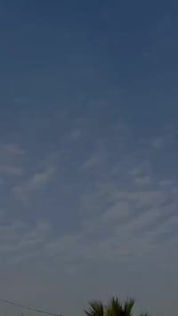 ماكس منغولي البيع بوشه 55 شلعه ومعدل مستعجل عل بيعه سعر 300 وبيه مجال ...