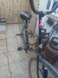 باسكل • صبغ خفيف • نجف حي الجامعه