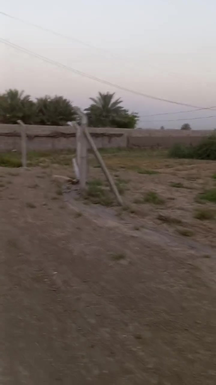 دونم للبيع تريد نص دونم لو ربع لو قطع على 100 و200 متر ابيعلك وبسعر مناسب والدونم ركن على شارعين للاستفسار *********** واتساب
