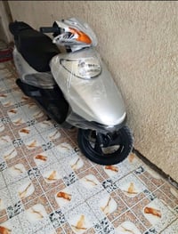 سبيسي ياباني • مكفوله • كوت زين القوس