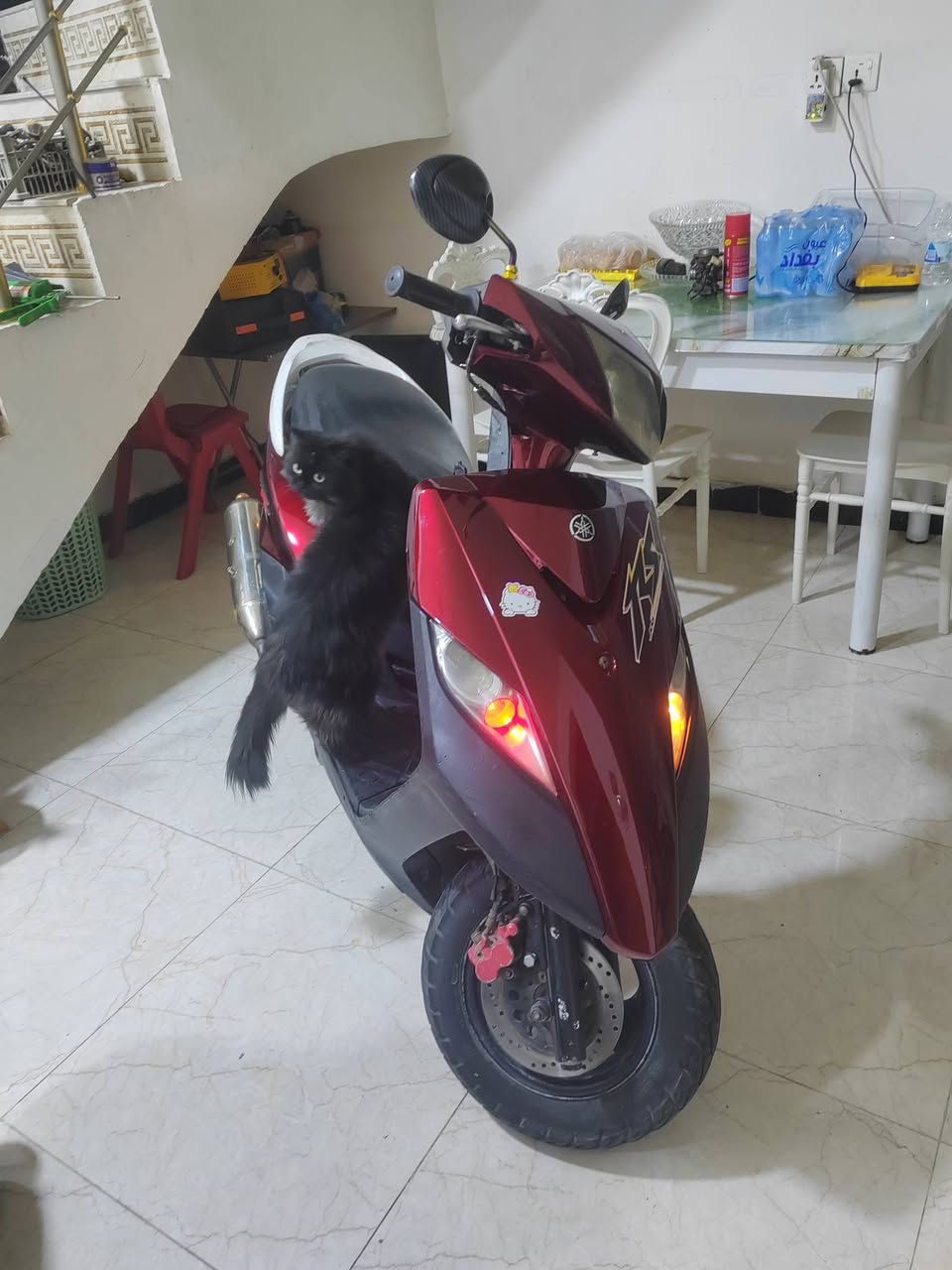 سلام عليكم دراجه ثعلب للبيع🌹
الدراجه مزوده صالنصه اصليه كلجات رياضي فراك  وكم شغله بعد الدراجه كلش حلوه ومابيه اي عيب ومابيه اي نقص نكره سلف شلعه ومعدل تشك الكاع كله شغاله لايت اشاير بك لايت دراجه نصبته كلش حلوه مال جناي السعر ٦٢٥ المكان بغداد الدوره الرقم ***********
