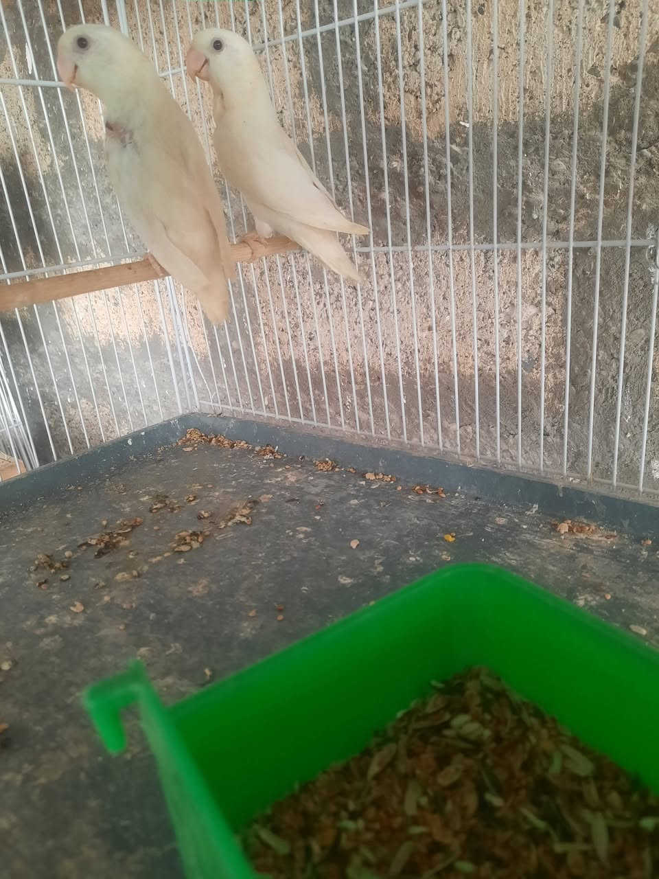 متاح للبيع *********** موجود واتساب هم
