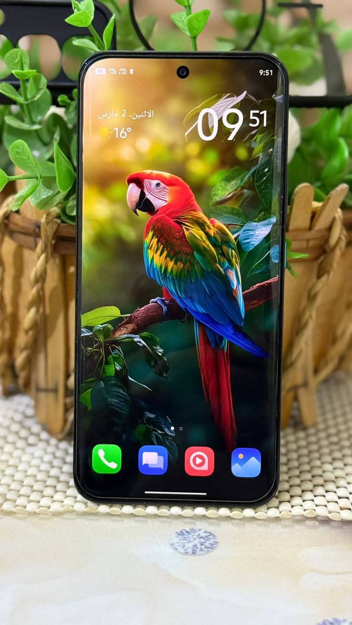 انفنكس هوت 60برو بلاس /بدون ملحقات
ذاكره 256/رام8+8
بطاريه 5160
معالج هيلوجي  200/ببجي60فريم
شاشه منحنيه امولد معدل تحديث 144هرتز
كامره من سووني 
دبل صوت 
دبل خط 
دبل بصمه 
جهاز مكفول من العطل وتصليح نضافه 100%
للبيع سعر 180قفل
شراي يتصل ***********
مكاني كووووت
