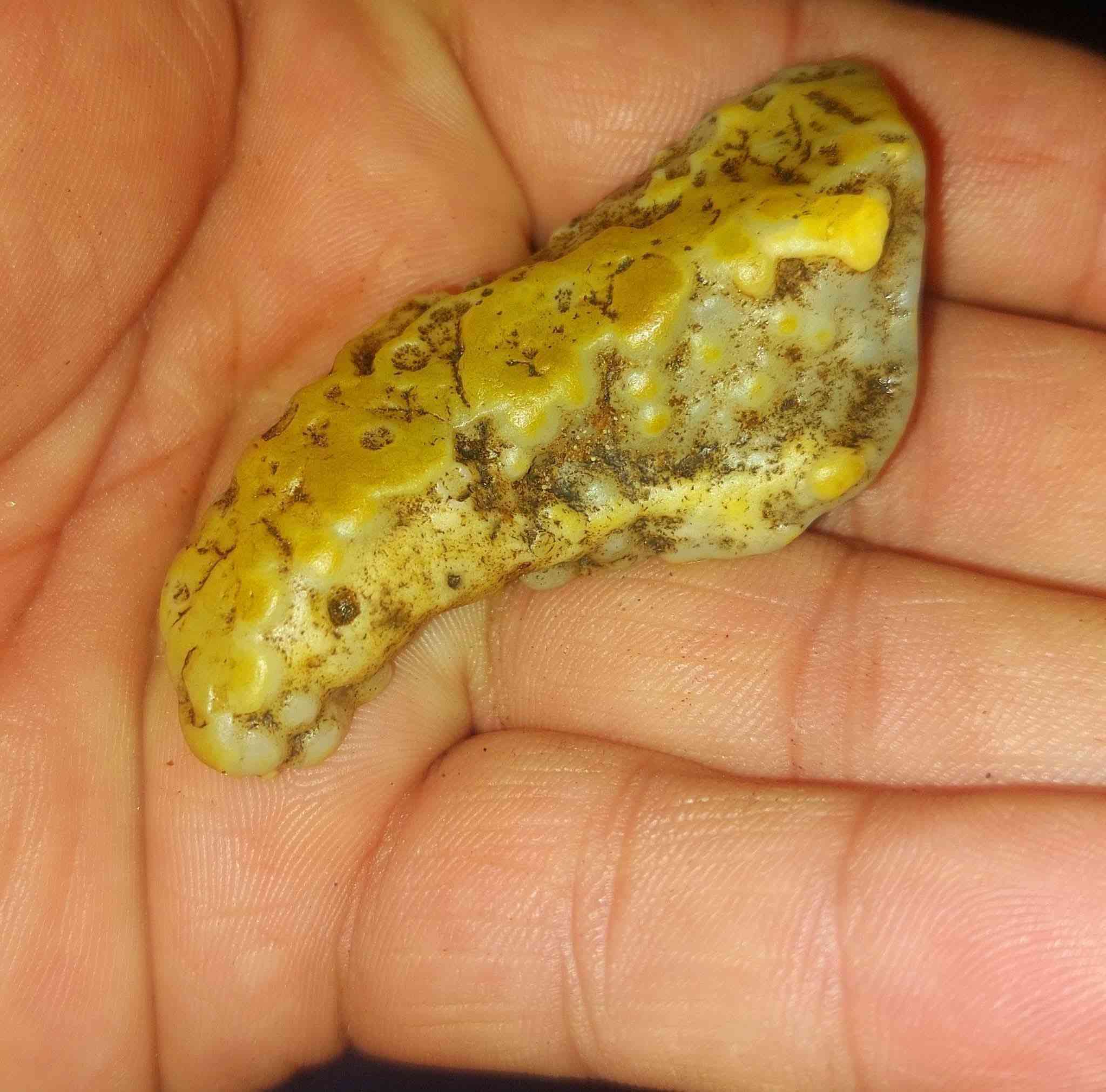 #يا #الله. نوادر النوادر  زوعه عربيد  على عرك سويحل مروكبه منكل مال شيوخ ودواوين ودخول على السلاطين وتغلب على الأعداء  مال مزامط  هاي  تسهيلات عامه 3عكد السان مهابه 
مصوره راس كوبره وعرك سويحلي هاي منكل نسائي رجالي فول الفول  مال كاع النباعي مال مزامط ومال شيوخ ودواوين 👉
*********** ☎️📞📞📞🌹🌹🌹🌹👉
#فوائد #الزوعه #عمهتن      من بعد عرك السواحل يجي فوائده          🥀🥀🥀🥀🥀🥀✌️     اذاينختم صح ويتقوه ويتنشط بالروحانيه الصحيح واني متمكن بيهن باذن الله🤟🤟🤟🤟🤟 
 1تجلب القلوب عالنضره لحامله 
2جاه وجه تسهيلات عامه     
3عكد السان مهابه                    ☎️ ***********🤳👉
4دوائر دوله لجم عام                 ملك الزوعات على مستوه 
5محبه وقبول عام                    ✌️العراق والوطن العربي👉 
6تعمل لجلب الزبائن  بصوره عامه باذن #الله🤟🤟🤟🤟🤟 
7تعمل  لحامله السعاده وراحت البال وتجلب حب الناس لحامله 
8تعمل  الموده والقبول مابين الخلق 
9 تعطي الهيبه والقبول  والمهبه امام الناس 
10 يتميز حامله بهدوء البال والتركيز والحفظ والفهم 
11تعمل كالمغناطيس في أمور الجلب والمحبه وسط الناس
12 يكون حاملها لايخشى سحرا ولا عين
👫👫👫👫👫🌹🌹🌹🌹👉
تنختم مابين الزوجين طاعه وقبول والموده  والمحبه ولجم  مابين الزوجين سلب اراده ضد الضالم تهيج مابين الزوجين 
حب وقبول مابين الحبيبين وطاعه و الموده وسمع  الكلام  
هاي كله الامور الروحانيه بعلم الاحجار متمكن بها 
 .  داخل الرقم وللاستفسار السماوه يوجد توصيل 
 
*********** منكل نسائي رجالي فوول الفول  

مختصون ومتمكنون بجميع الاحجار الربانيه والاحجار المروحنه والطاقه باذن الله🤟🤟🤟🤟🤟 
🤙#مختص بعلم الاحجار المروحنه وطاقه  100 بل 100 و✌️مختص
ومعالج جميع السحر والتوابع الخصه بامور الروحانيه بفظل الله والقران الكريم ومحمد وال محمد.  اخوكم ابو طيبه علاء
