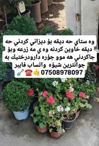 تصميم حدائق • زراعة وتقليم • أربيل