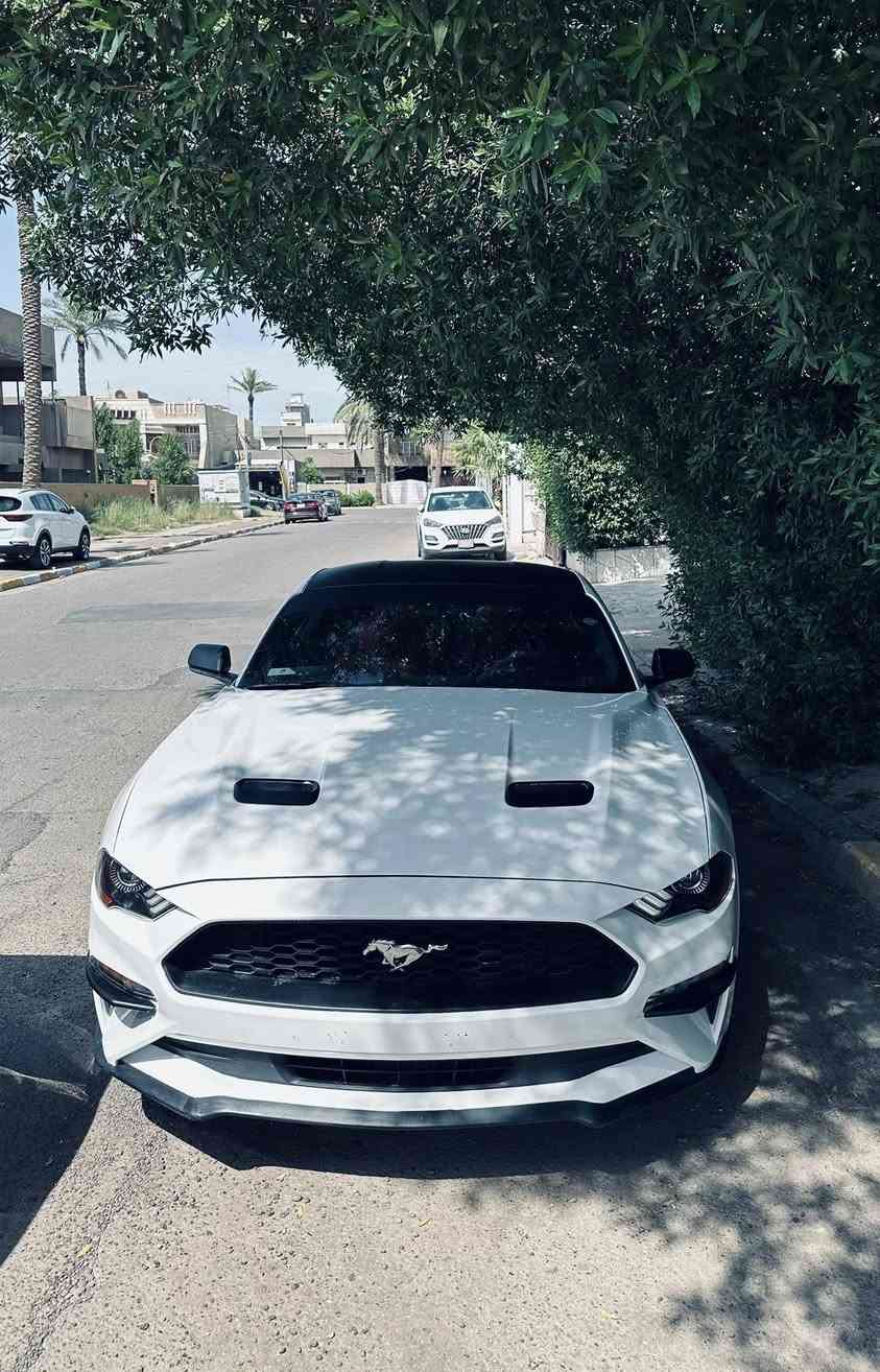 موستنك 2018 eco🔥🤍
للبيع 
كير محرك اكسل كفالة وبشرط
السياره وحش 
ك جمال وقوهة السياره شلعه ماتكول ايكو 
رقم اربيل تحويل ثاني يوم 
سياره حادثها قطعتين جاملغ او باب عكس سايق 
بلكات ريسنك🔥
ولف حماوه ريسنك🔥
ويل تراك بكج 🔥
الدواخل احمر جلد🔥
البجم كبس شركة شباك GT🔥
كامره خلفيه 🔥
ماشيه 55ميل
لا لغود لا شواصي لا اي ضرر داخلي بل عافية عل ياخذها 
موصفات الايكو العادية 
مراوس اب اربع بيبان عادي 
السعر 145$ مكاني بغداد

***********
