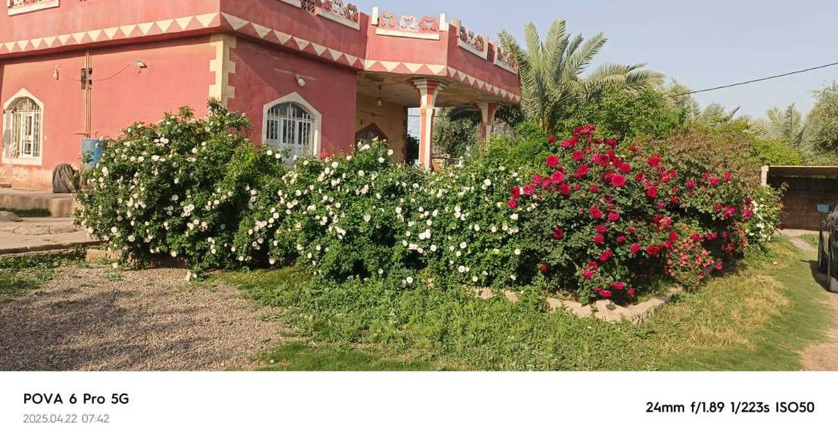 السلام عليكم
دار للبيع في قرية الطارقية حوش اكثر من دونم مساحة البناء تقريباً 240 م 
كراج عدد 2 
مخزن عدد 3
بئر ارتوازي
مولد لستر جديد
بستان مزروع مختلف الأشجار
البيت يتكون من 
ربعه
هول عدد 2
غرف نوم 2
مطبخ
صحيات
الاستفسار  الاتصال على الرقم ***********@
