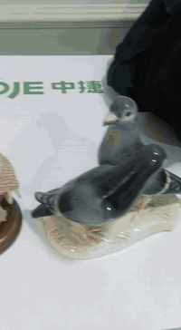 السلام عليكم انتيكات وتحفيات للبيع


**إذا كنت صاحب هذا الإعلان وتريد حذفه لأي سبب، رجاءا أرسل رسالة إلى الدعم الفني**