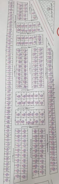 مزارع زيونة • ٢٠٤م • جمعية شمس نينوى ٧٩