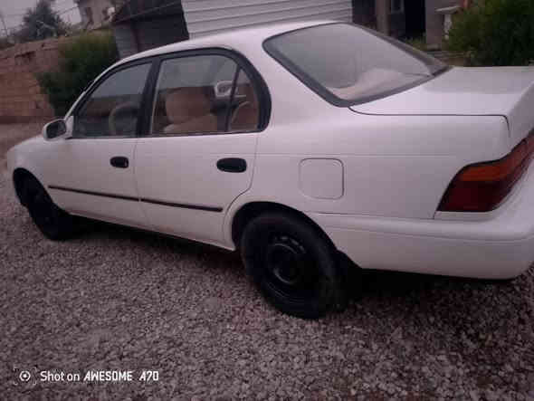 كورله ايسر ابلاد رقم بغداد  جاهزه من الاخير مصبوغه عام جماليه السعر ٥٩ وبي مجال  *********** ارجو عدم الاتصال بعد الساعه العاشره ليلا مكلف بلنشر خابر صاحب الرقم
